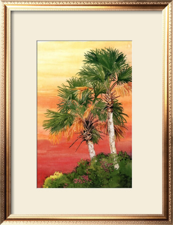 Ozello Skys by Jennifer Ardolino Pricing Limited Edition Print image