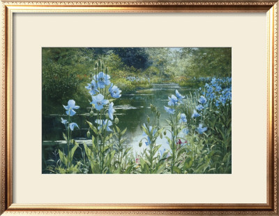 Blue Poppies by Peter Ellenshaw Pricing Limited Edition Print image