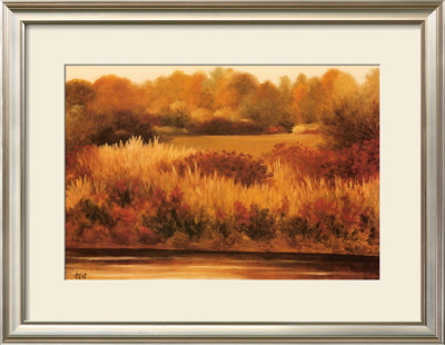 Sumach Creek by Diann Haist Pricing Limited Edition Print image