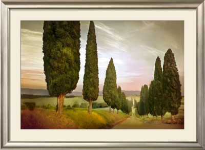 Cypress Road, Siena by Jimmy Williams Pricing Limited Edition Print image