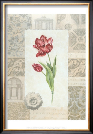 Victorian Tulip I by Gillian Fullard Pricing Limited Edition Print image