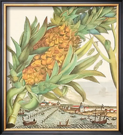Pineapple With Ships by Johann Christof Volckamer Pricing Limited Edition Print image