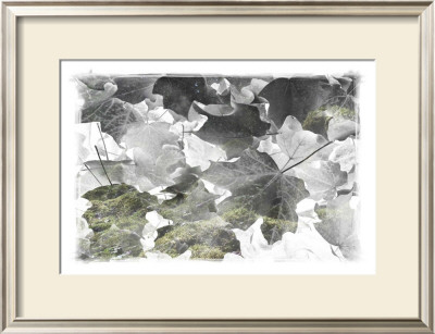 Cold Snap by Susann & Frank Parker Pricing Limited Edition Print image