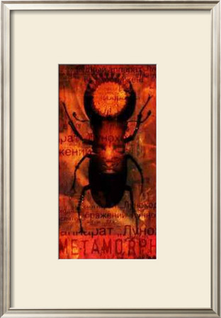 Metamorph by Tom Hamlyn Pricing Limited Edition Print image