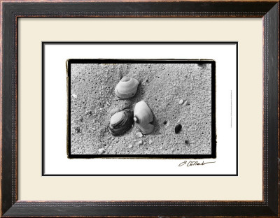 Sand Treasures V by Laura Denardo Pricing Limited Edition Print image