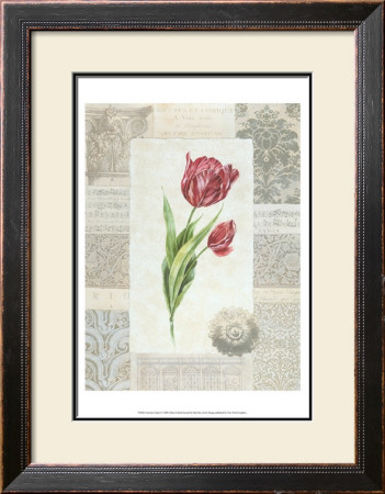Victorian Tulip Ii by Gillian Fullard Pricing Limited Edition Print image