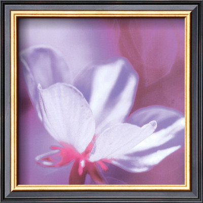Purple And Pink Flower by Prades Fabregat Pricing Limited Edition Print image