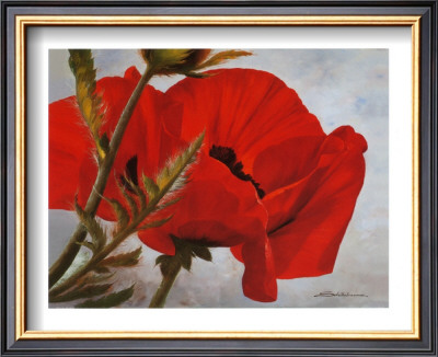 The Red Poppy by Heinz Scholnhammer Pricing Limited Edition Print image