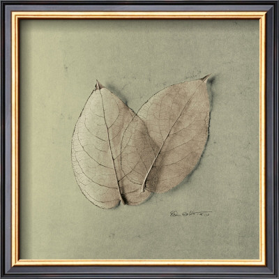 Pair Of Skelton Leaves by Ed Goldstein Pricing Limited Edition Print image