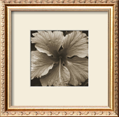 White Flower by Nelson Figueredo Pricing Limited Edition Print image