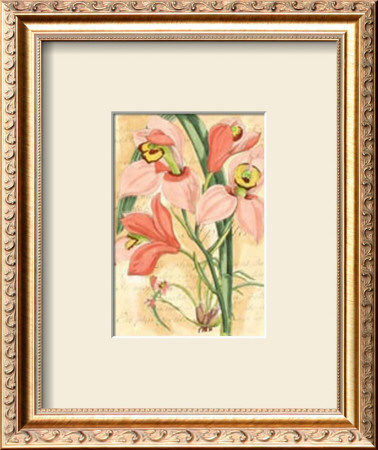 French Orchid by Samuel Curtis Pricing Limited Edition Print image