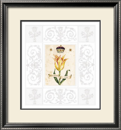 Tulips Of The Crown, 1733 by Horner & Brooks Pricing Limited Edition Print image