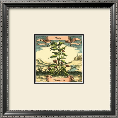 Basil by Theodor De Bry Pricing Limited Edition Print image