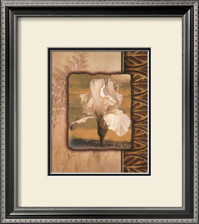 White Iris by T. C. Chiu Pricing Limited Edition Print image