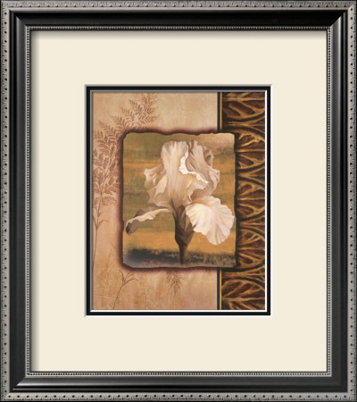 White Iris by T. C. Chiu Pricing Limited Edition Print image