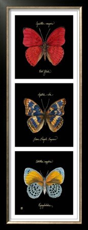 Primary Butterfly Panel I by Ginny Joyner Pricing Limited Edition Print image