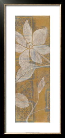 Delicate Panel I by Jennifer Goldberger Pricing Limited Edition Print image