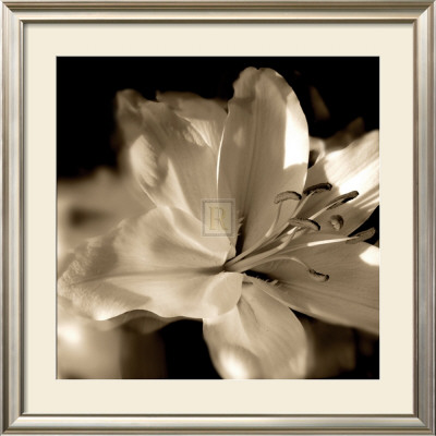 Lily Glow Ii by Malcolm Sanders Pricing Limited Edition Print image