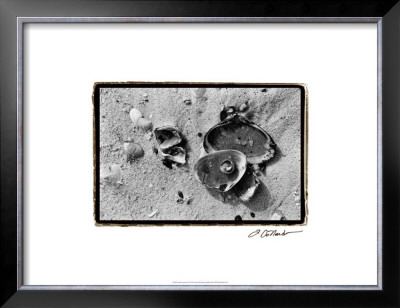 Sand Treasures Ii by Laura Denardo Pricing Limited Edition Print image