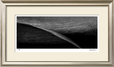 Stillness Iv by Anthony Tahlier Pricing Limited Edition Print image