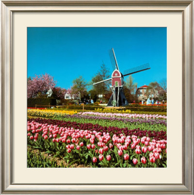 Lisse, Holland by Stuart Black Pricing Limited Edition Print image