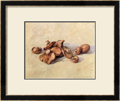 Mushrooms by Joaquin Moragues Pricing Limited Edition Print image