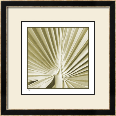 Palm Study Iii by Studio El Collection Pricing Limited Edition Print image