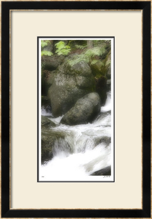 In The Flow Ii by Joy Doherty Pricing Limited Edition Print image