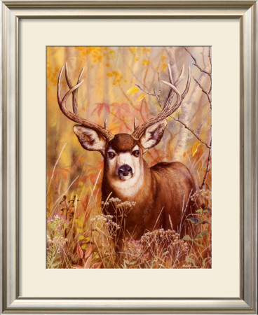 Buck In Forest by Michelle Mara Pricing Limited Edition Print image