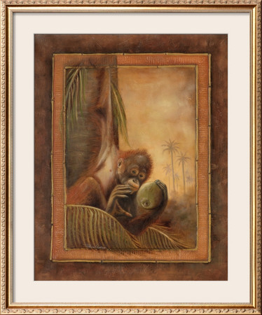 Orangutan I by Patricia Quintero-Pinto Pricing Limited Edition Print image