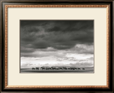 Elephant Herd by Jean-Michel Labat Pricing Limited Edition Print image