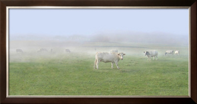 Les Vaches, C.2006 by Jacky Lecouturier Pricing Limited Edition Print image