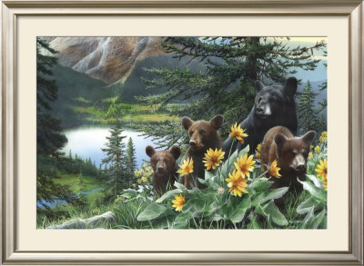 Basking In The Balsam by Kevin Daniel Pricing Limited Edition Print image