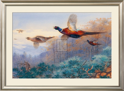 Pheasants In Flight by Archibald Thorburn Pricing Limited Edition Print image