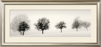 Winter Light by Ilona Wellmann Pricing Limited Edition Print image
