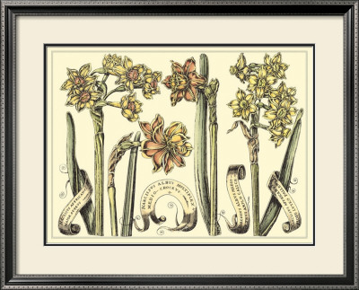 Narcissus In Bloom Ii by Langlois Pricing Limited Edition Print image