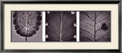 Poetica Autumnalis Series I by Pawel Winczewski Pricing Limited Edition Print image