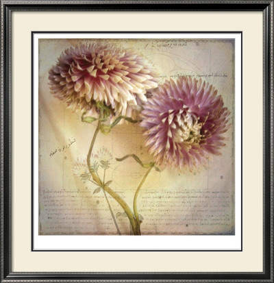 April Strawflowers by Sally Wetherby Pricing Limited Edition Print image