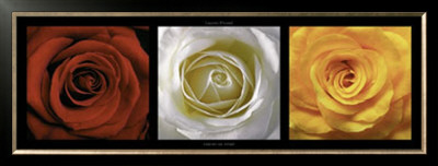 Coeurs De Roses by Laurent Pinsard Pricing Limited Edition Print image
