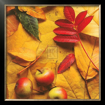First Fall Vi by Bill Philip Pricing Limited Edition Print image