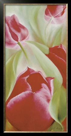Tulips Ii by Annette Schmucker Pricing Limited Edition Print image