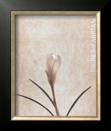 Narcissus by Helen Buttfield Pricing Limited Edition Print image