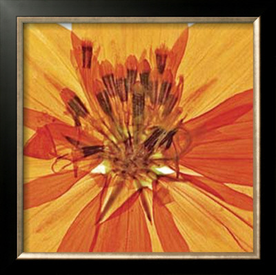 Pressed Flower Abstract No. 1 by Shams Rasheed Pricing Limited Edition Print image