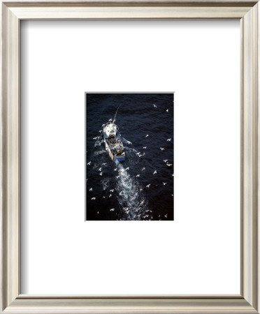 Fish In Sea by Jean-Marie Liot Pricing Limited Edition Print image