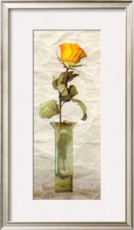 Rose In A Pot Iv by Giancarlo Riboli Pricing Limited Edition Print image