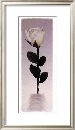 Long Stem Rose by Dick & Diane Stefanich Pricing Limited Edition Print image