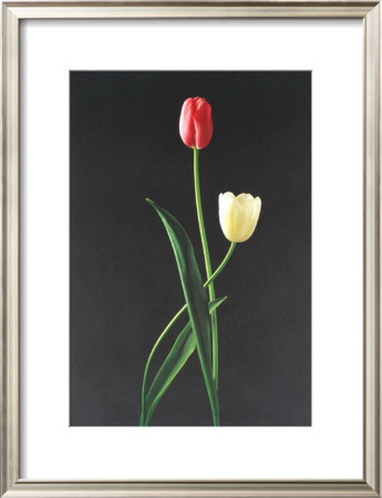 Love by Harvey Edwards Pricing Limited Edition Print image