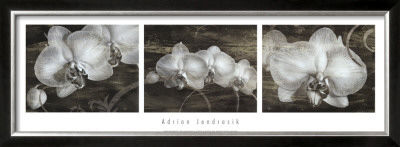 Orchid Patina by Adrian Jendrasik Pricing Limited Edition Print image