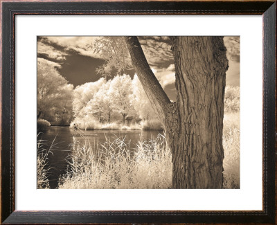 Lakefront View Ii by Ily Szilagyi Pricing Limited Edition Print image