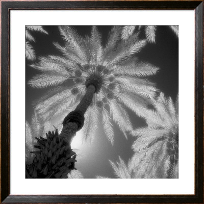 Indian Wells by Amai Pricing Limited Edition Print image